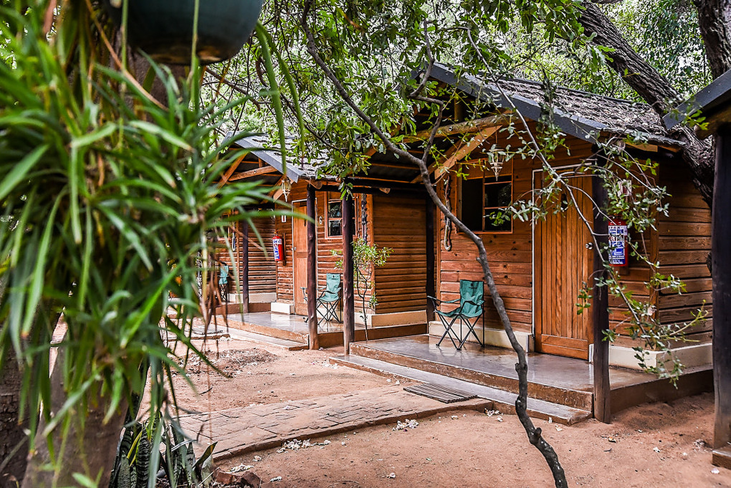 Hotel Mokolodi 2 Botswana nomad remote d918ea8d-51cb-4b92-a056-68149a19e744_Areaoutside Twins and 4-sleepers.jpg